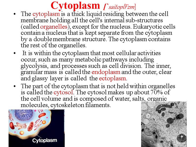 Cytoplasm [`saitoplFzm] The cytoplasm is a thick liquid residing between the cell membrane holding
